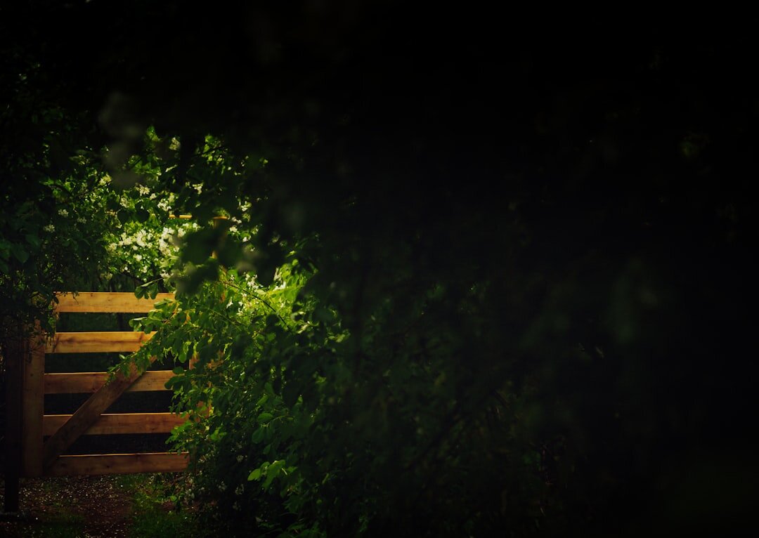 hidden garden path