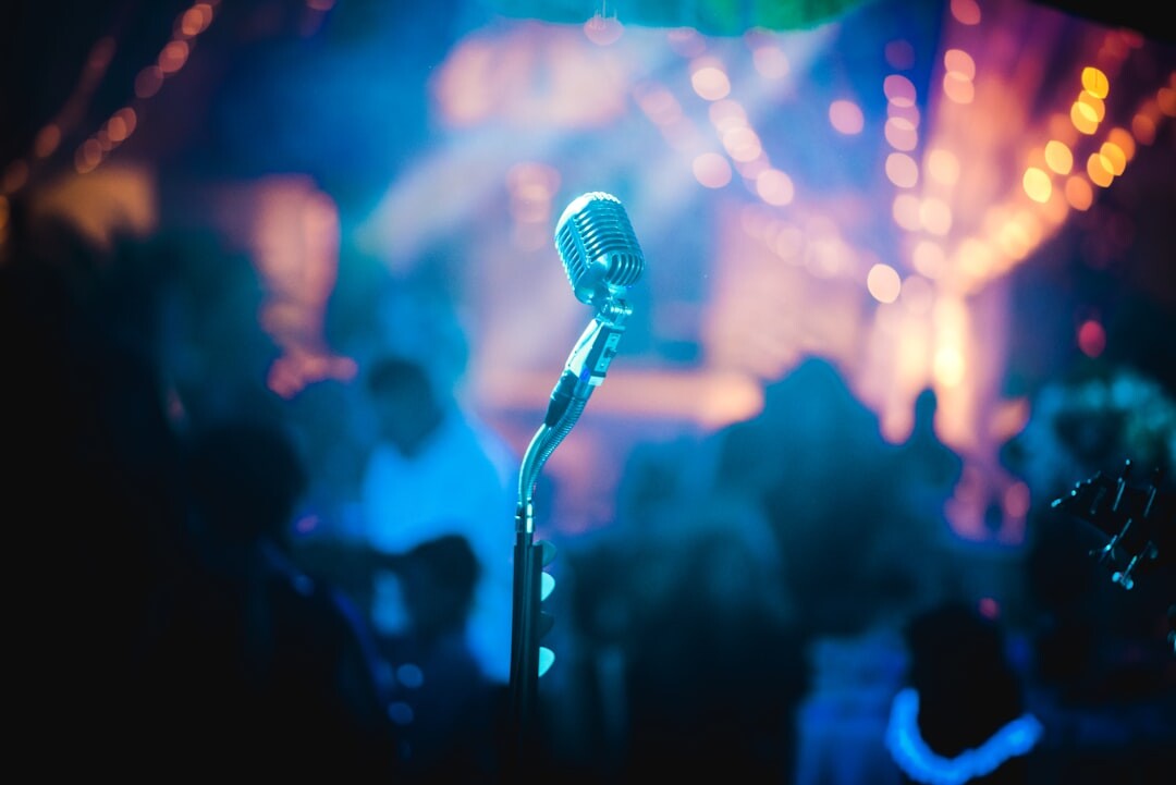 famous singer on stage
